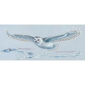 

Cross stitch set diy П-47 Polar owl