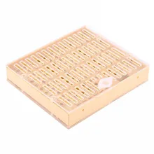 AFBC вывод маток комплект чашек коробка ролик для клетки чашки ящик для пчеловодства случае Набор