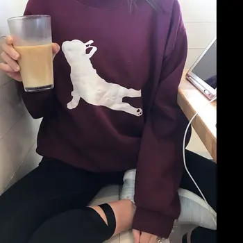 

Kawaii Dog Graphic Sweatshirts Women Fashion Cartoon Printed Hoodies Autumn Casual Pullover Harajuku O-Neck Winter Woman Tops