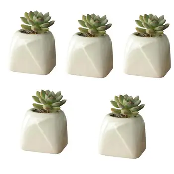 

5Pcs Succulent Plant Ceramic Flowerpot Creative Fold Angle Bonsai Pot (White)