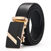 ne320-gold