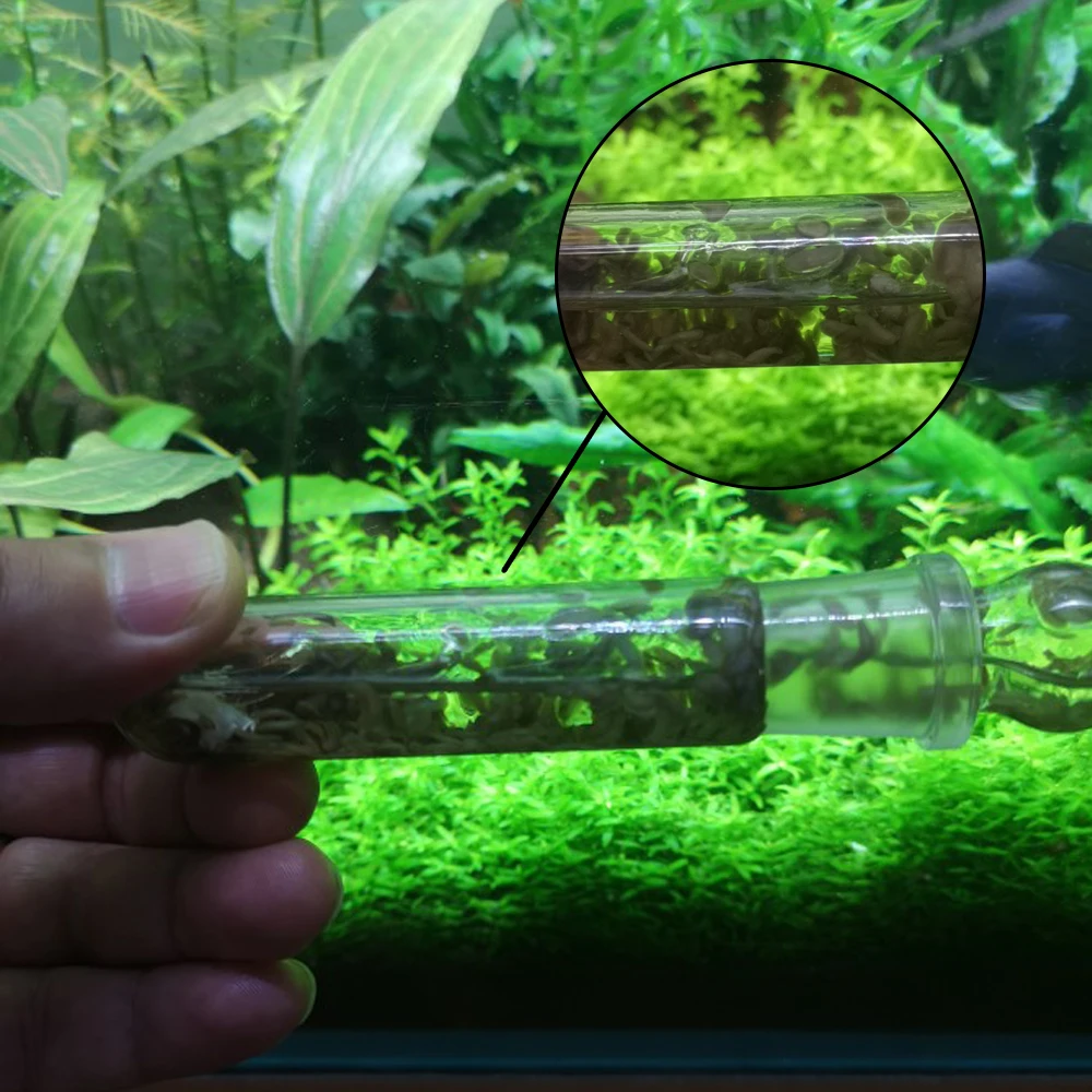 Senzeal аквариумная ловушка для вредителей Planaria Ловец пиявок Vivarium ловли прозрачного