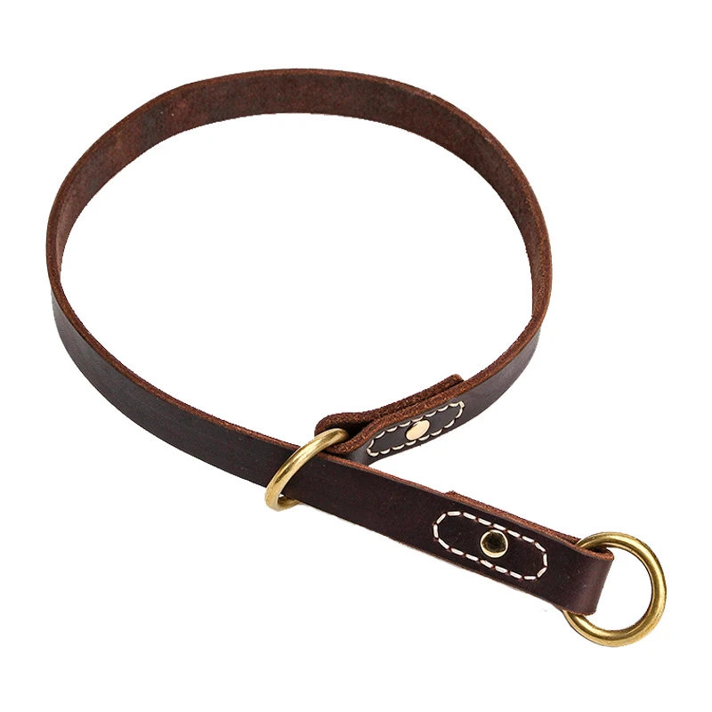 leather training collar