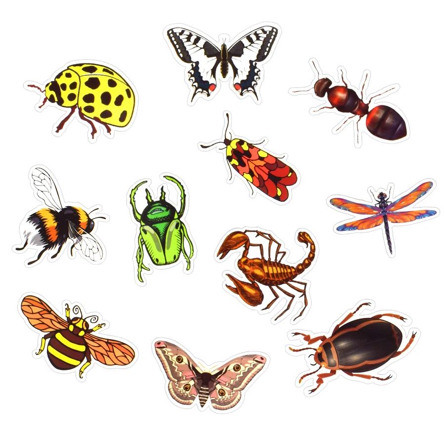 50 шт. наклейки с насекомыми мультфильм природа бабочка насекомых Обучающие наклейки для детей DIY Скрапбукинг ноутбук багаж планшет