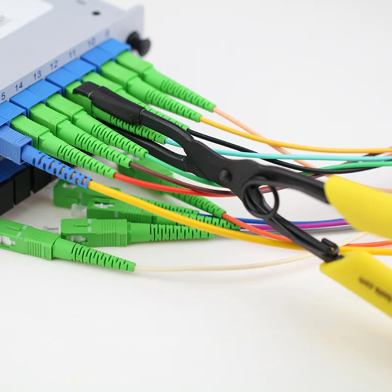 3181972769_1319666606