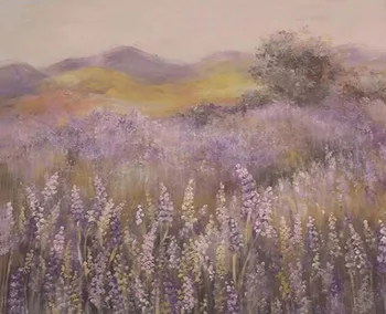 

Lavender field vinyl background for kids Photography accessories backdrops newborn photo Studio Video taking Backgrounds NB-095