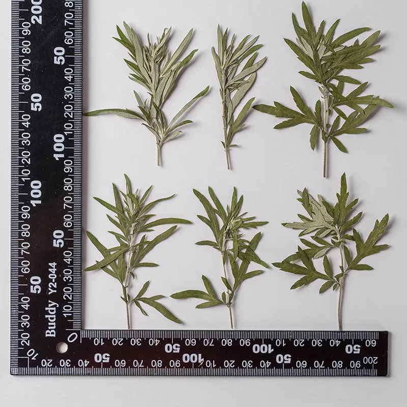 

60 шт., пластырь для украшений из эпоксидной смолы