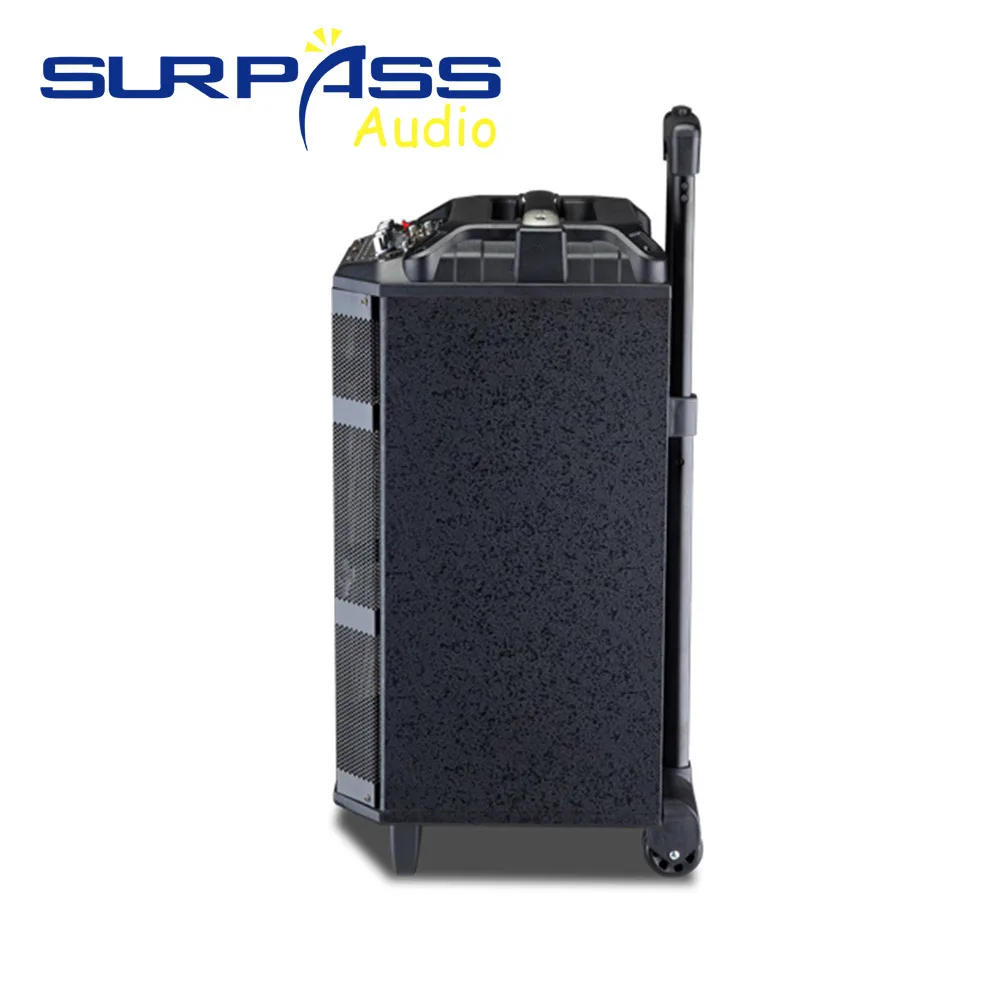 Outdoor or Home Karaoke Bass Treble Bluetooth Microphone Speaker 10'' Portable Battery Loudspeaker with FM Radio LED Light USB