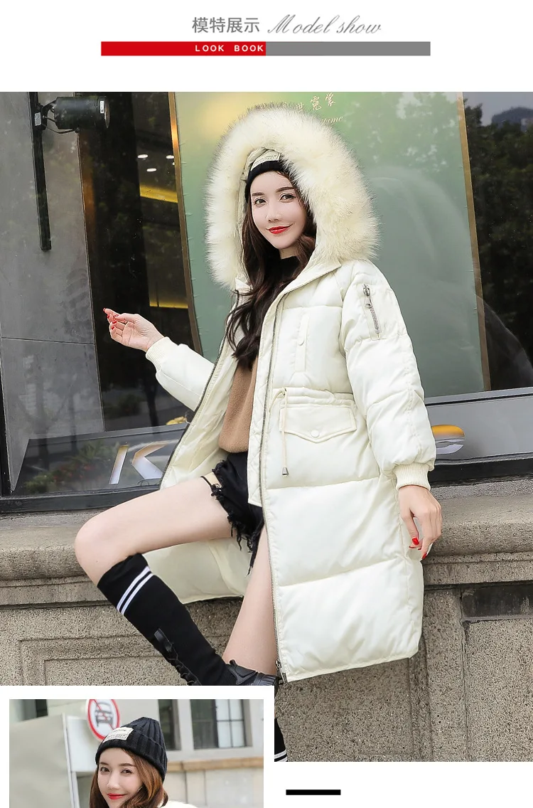 Cotton (13).jpg