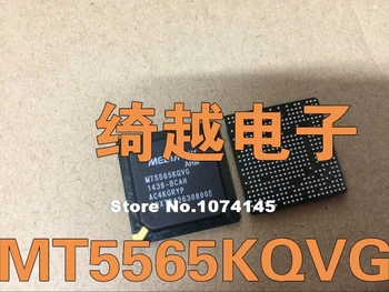 

MT5565KQVG ()