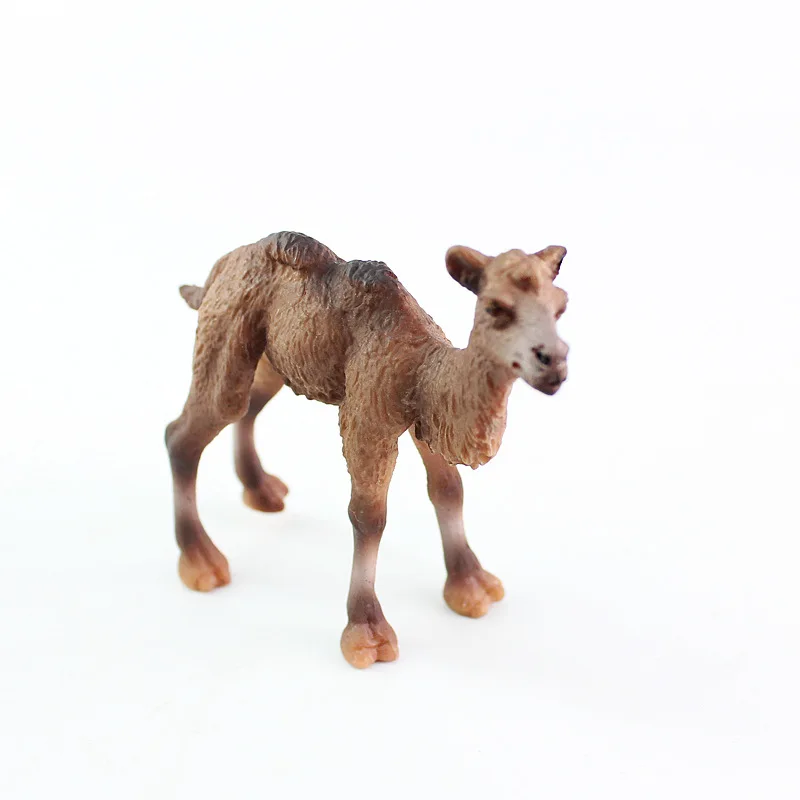 Cross Border Hot Sales Model Wild Animal Bimodal Small Camel Plastic Solid Static CHILDREN'S Toy Decoration Gift