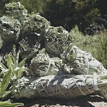 Американский Калифорнийский сушеный белый шалфей для очистки дома(55 г/комплект) сушеный белый шалфей для сжигания