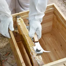 Многофункциональный Нержавеющая сталь пчелы скребок для улья инструмент Пчеловодство пчелиный улей ручной инструмент JS23