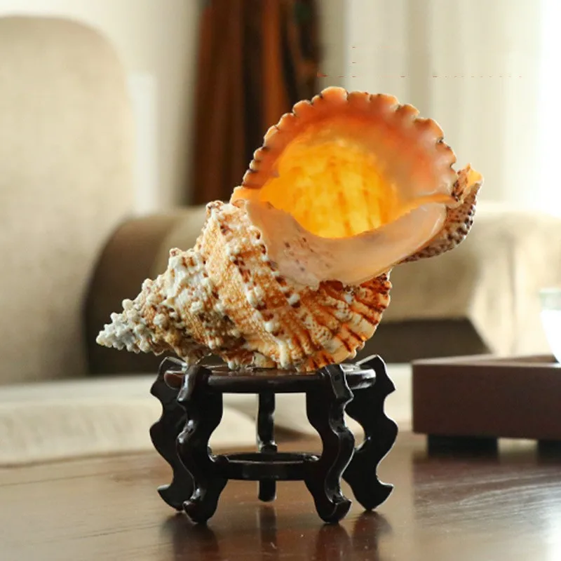 H7684cfbfc9754ac1ab9429c476cfe61e3.jpg?width=800&height=800&hash=1600