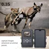 Suntekcam 2G Celluar MMS SMTP SMS Wildlife Trail hunting Cam Photo Traps  20MP 1080P Night  Vision Infrared  Wireless Cam HC801M ► Photo 3/6