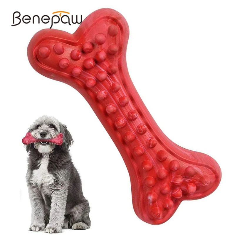 Are Hard Bones Bad For Dogs Teeth