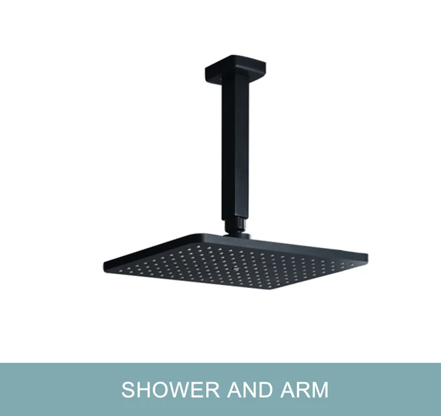Shower and Top Arm