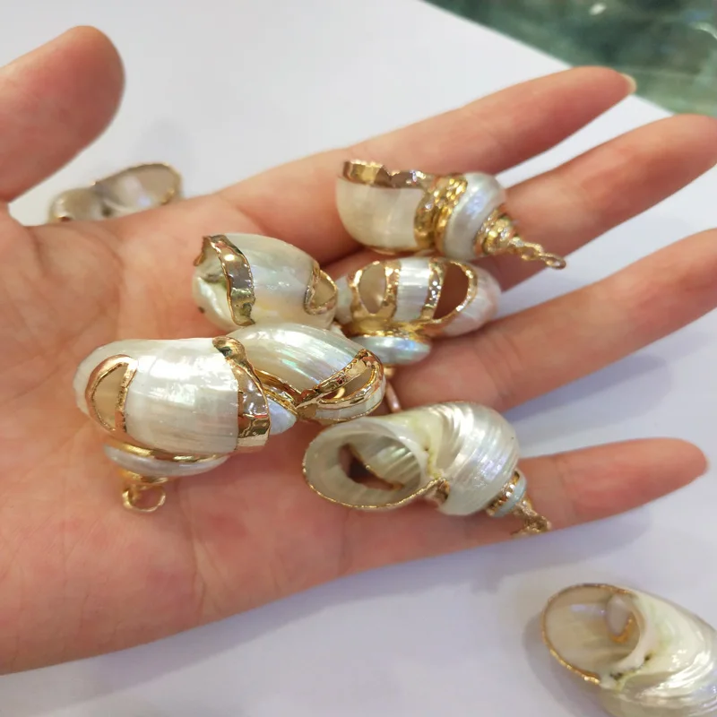 Natural Shell Conch Pendants Irregular Shape Jewelry for Jewelry Making DIY Necklace Bracelets Accessories 20x30-30x30mm