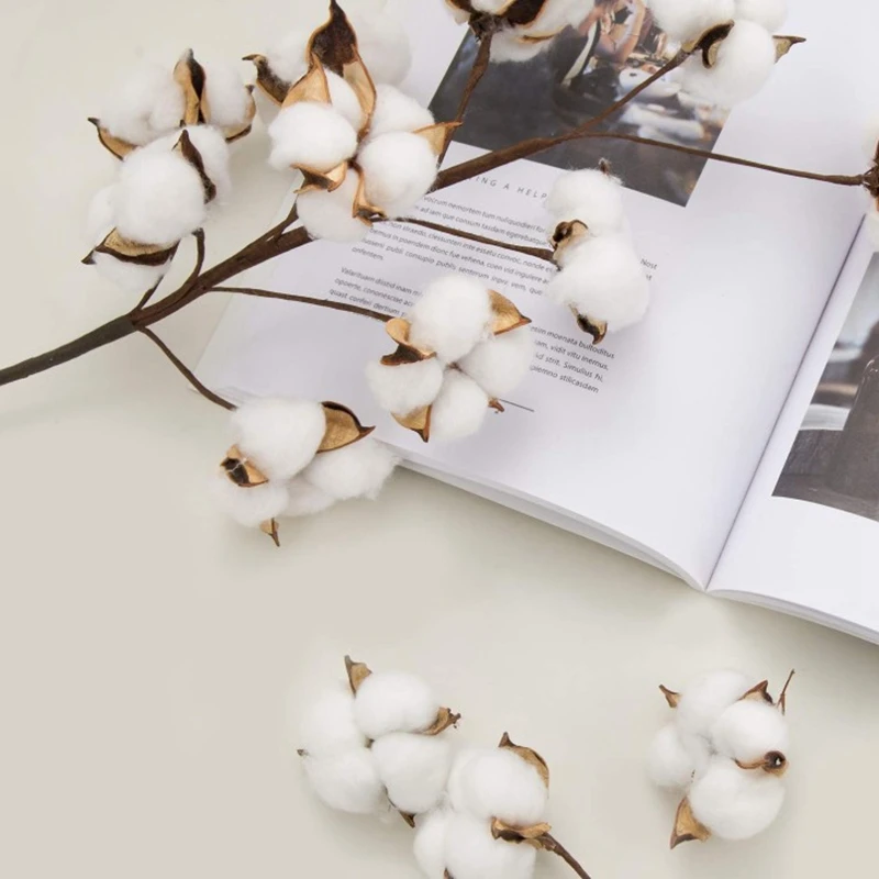 

Cotton Stems 6 Loaded 10 Balls 55Cm Farmhouse Display Filler Lace Decoration Simulation Dried Flower Cotton Long Branches