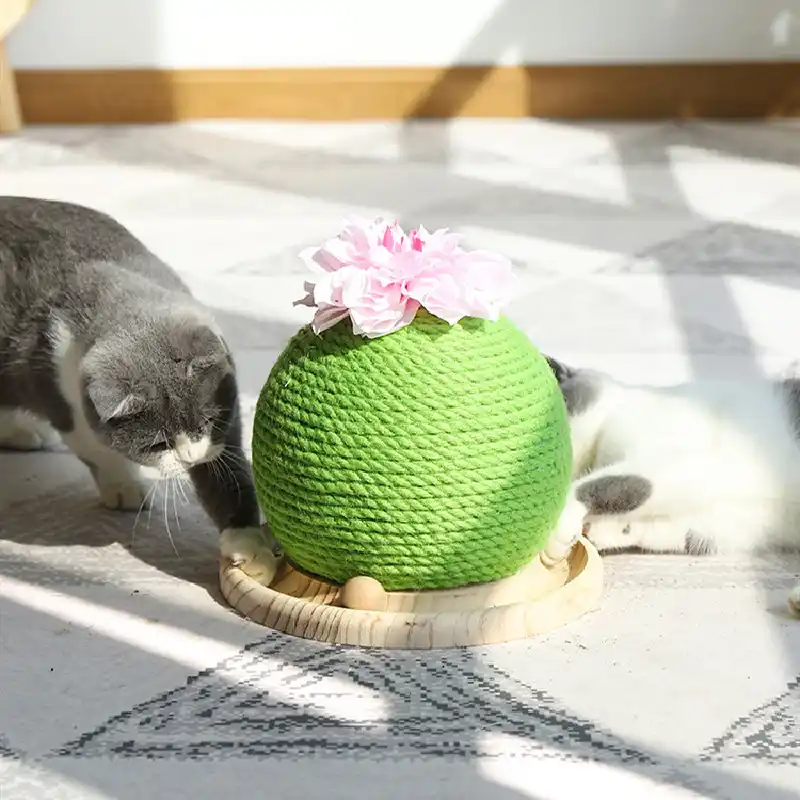 Arbre A Gratter Pour Chat Cactus Tournesol Fin Tisse En Sisal Jouet Pour Chat Aliexpress