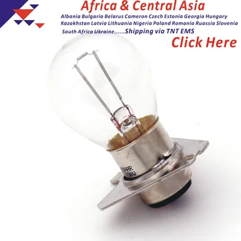 

DONAR DN-60810 6V 30W P47D with ring Incandescent light bulb 6V30W Zeiss 39-01-58 70313 00843110 OQ-58Z Microscope Lamp