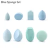 Blue Sponge Set