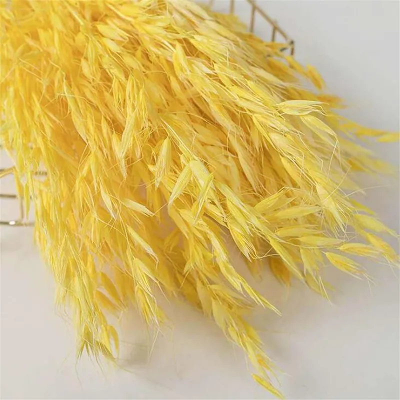 QQ截图20200425205758