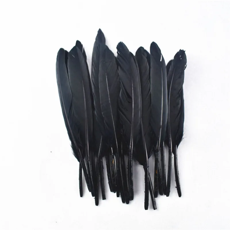 20pcs Variety of Black Feathers Rooster Goose Feathers Ostrich Pheasant  Feathers for Crafts Carnaval Assesoires Feather Decor