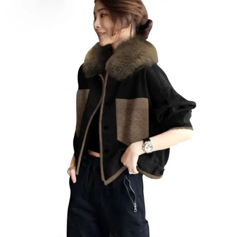 

winter new women's fur collar short coat women's fashion Joker jacket top