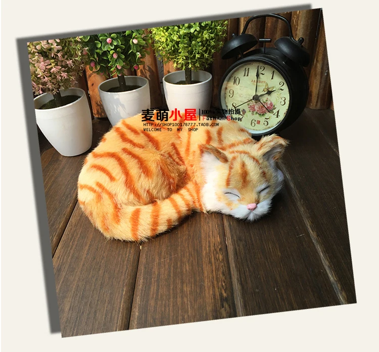 109150-cfaab3.jpg
