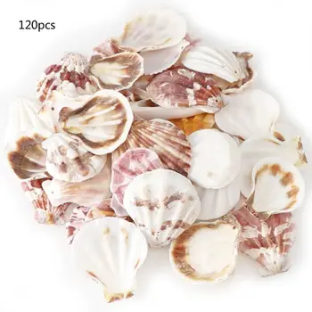 

120Pcs Mixed Colorful Scallop Shell Natural Seashell from Sea Beach DIY Craft N0HE