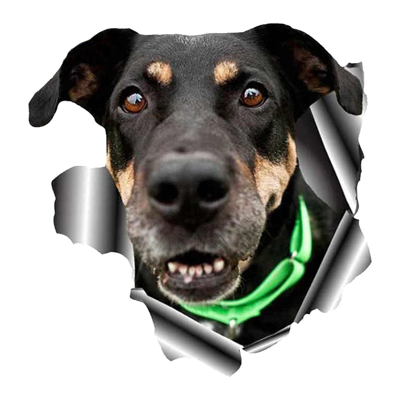 

13cm x 12.6cm For Dog Vinyl Car Stickers Fashion Fine Decal Graffiti Laptop Occlusion Scratch Waterproof Decoration