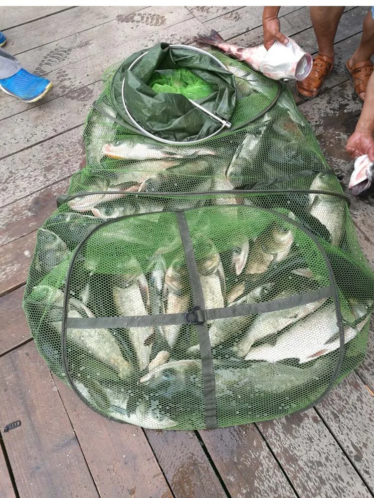Bighead Карп бешеный Серебряный Карп дикая рыба и Bighead карп приманка Регулируемая серая 51-100 юаней Yu Nest материал составы Китай