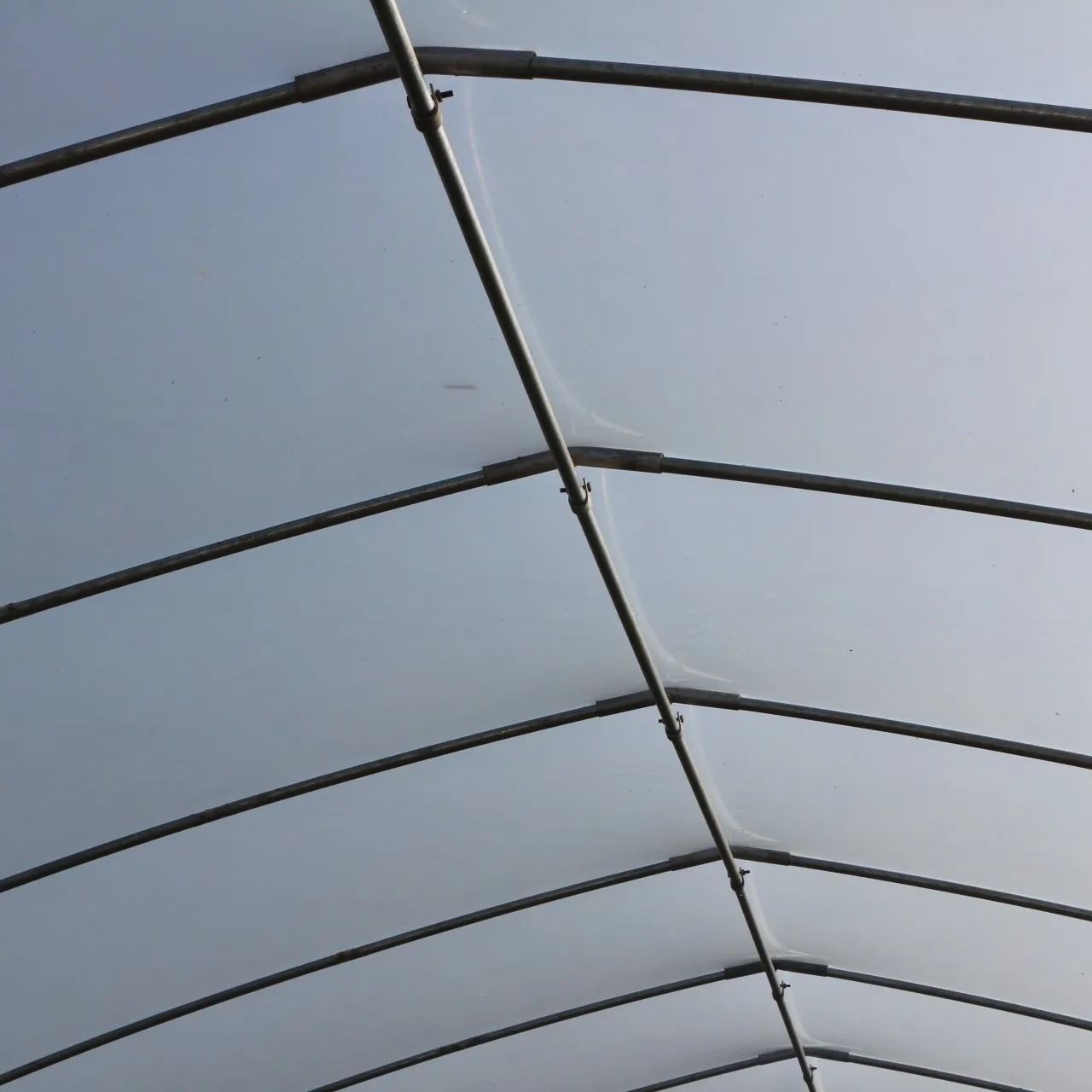 8M*30M Complete Set of Agricultural Plastic Greenhouse