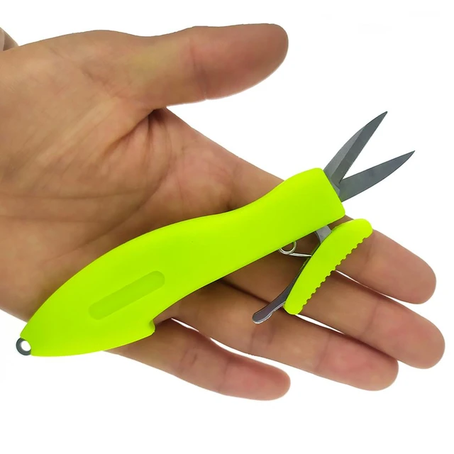 Chandrabhaga Tours And Travels