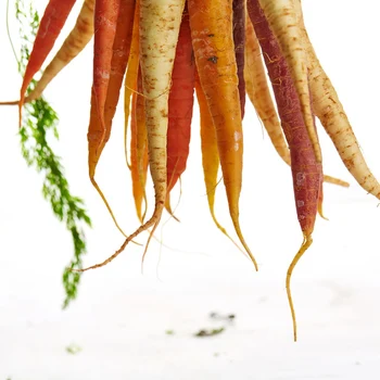 

Roll Up Dish Drying Rack Over Sink, Multipurpose Silicone Dish Drying Mat, Extra Large, (Gray Black)