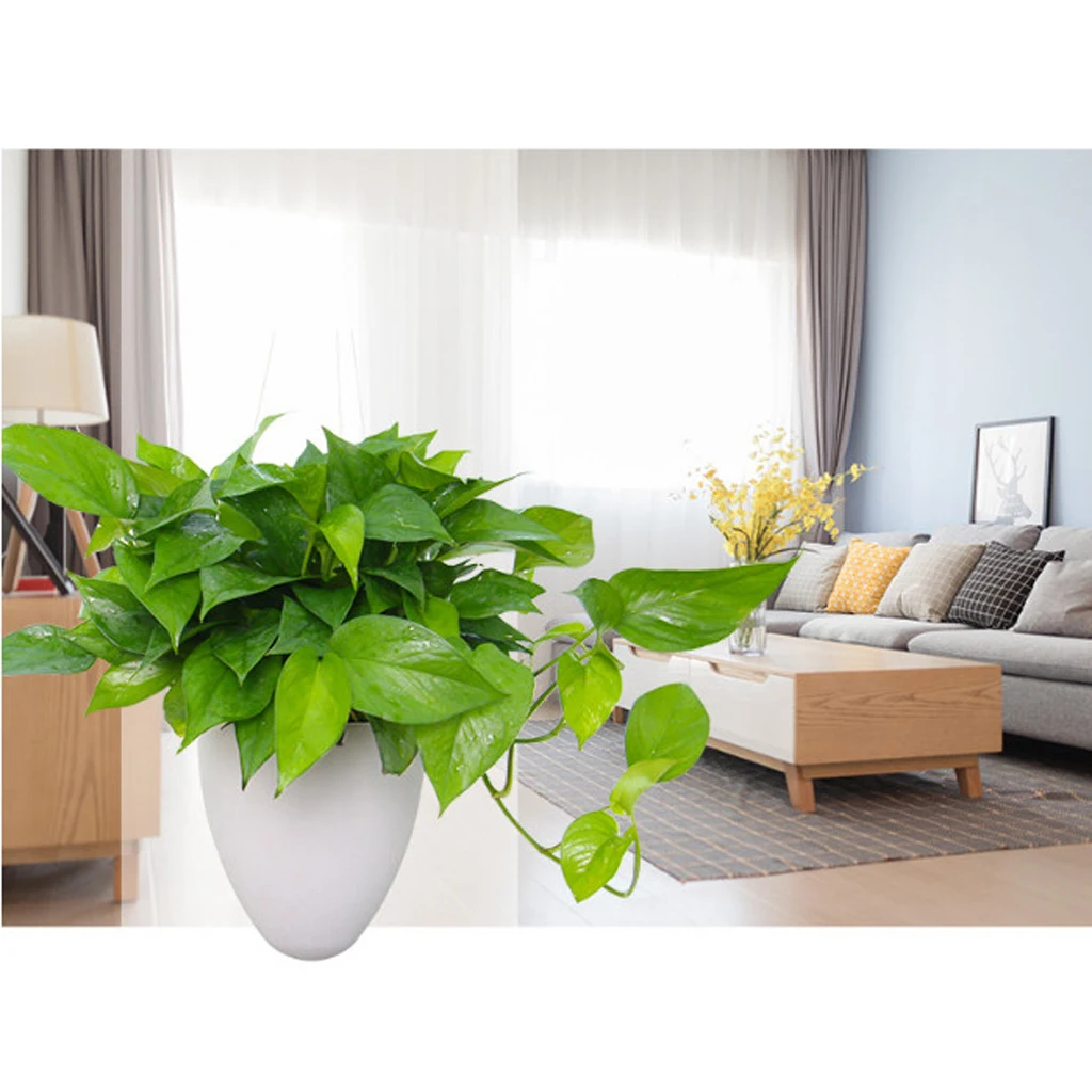 Frosted Hanging Self Watering Flower Pot Plant Planter Garden Decor Eggshell Design