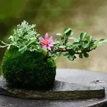 

1pcs Simulation Moss Ball Bonsai Plant Flower Pot DIY Gardening Home Table Bonsai Pot Holder for Garden Home Decorations