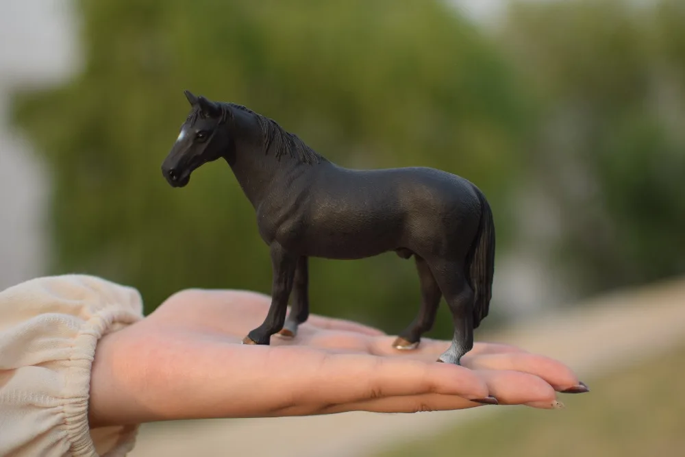 00000000000000000000000000000000000000000000000007 - 副本 - 副本 (1) (1)