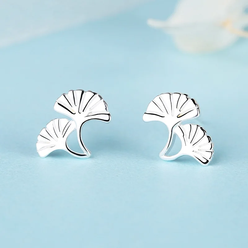 17340261178_1245011893