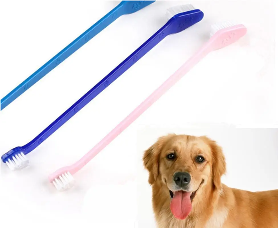 HLB1P79PajzuK1RjSsppq6xz0XXak