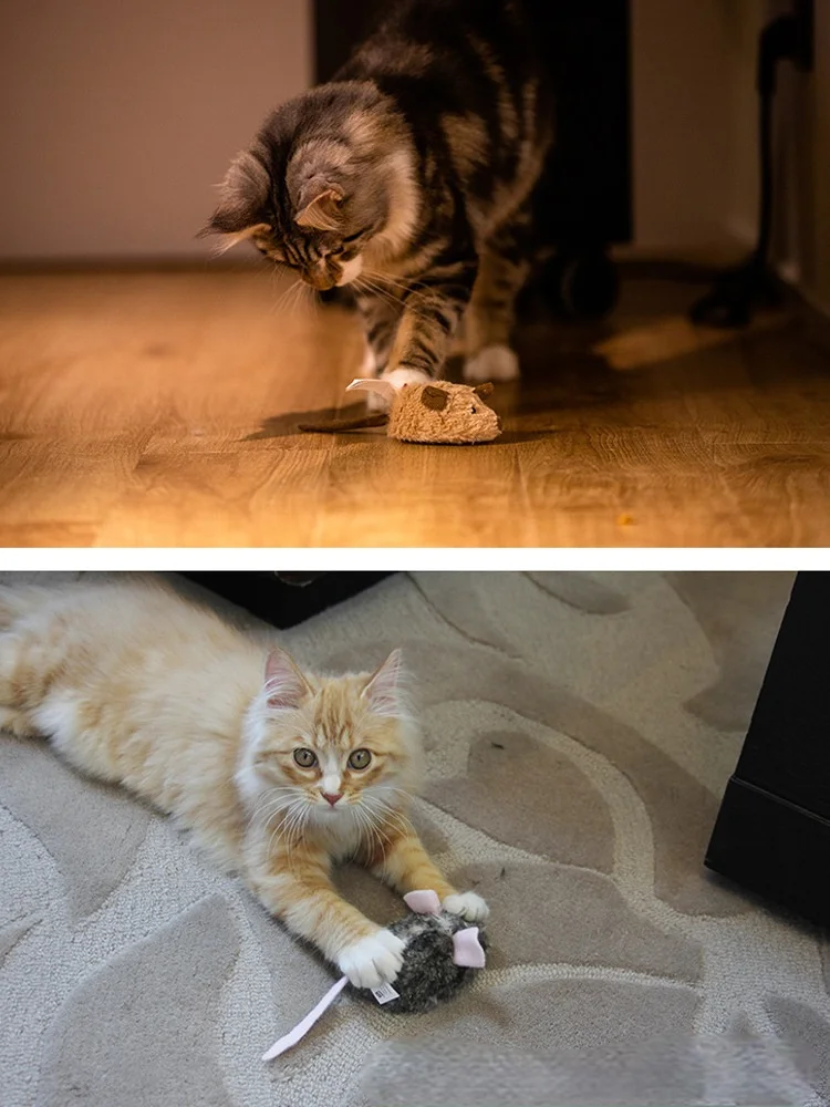 Pulley Mouse Electronic Toy Kitty Relieve Boredom Plush Voice Sliding