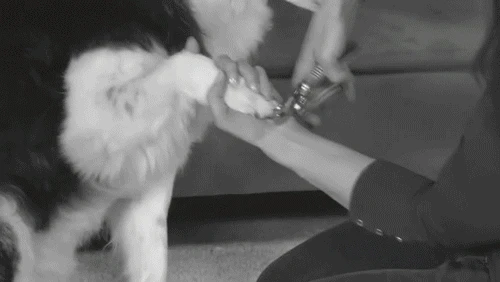 Идеальный питомец, вращающийся пилочка для ногтей для собак и кошек, электрические Клещи для ногтей для домашних животных, триммер для ногтей для собак, кошек, уход за когтями, инструмент для ухода за домашними животными