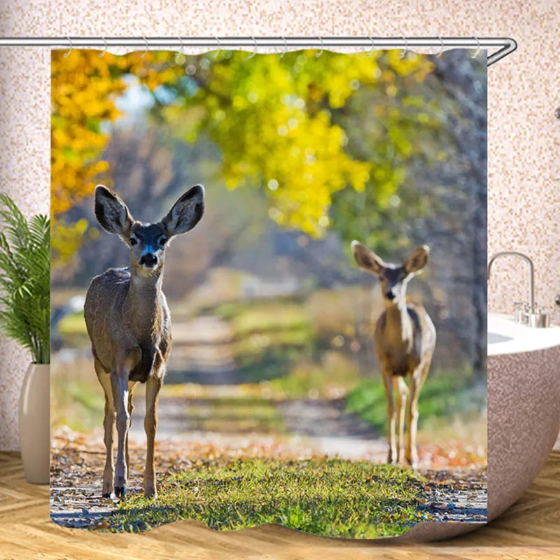 deer