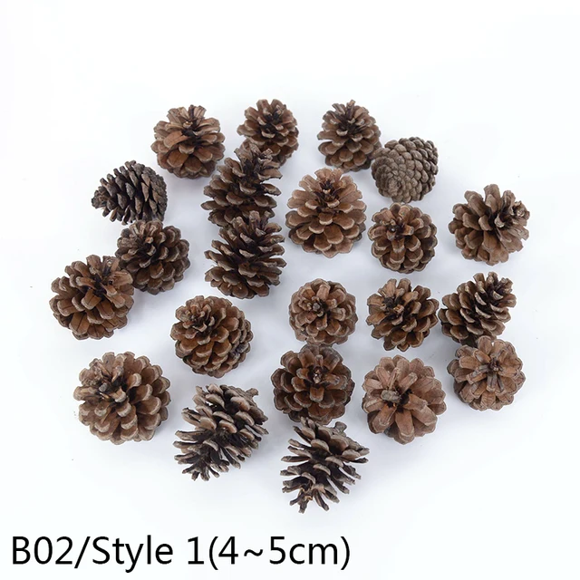 1-10pcs Natural Pine Nuts Fruit Dried Artificial Flower Pineapple Cones for Christmas DIY Garland Wreath Wedding Home Decoration B02-10pcs