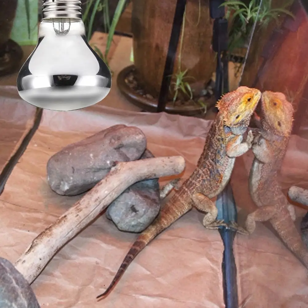 50W/100W Pet Heating Lamp Amphibian Amphibian Snake Lamp Heat Reptile Bulb Light E27 Reptile Pet Heat Emitter Bulb