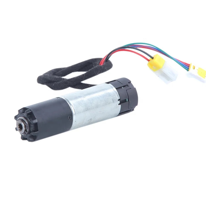 

29JXL22G/30ZY80H-1265 Automobile Tail Gate Motor