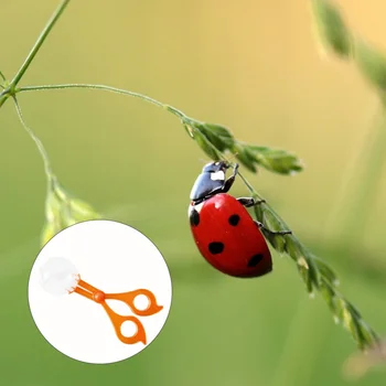 

2pcs Funny Insects Catch Clamp Insect Catcher Insects Catch Scissors Bug Tongs for Outdoor Home Kids