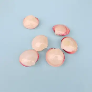 

Natural shell decoration sector together small shells conch shell powder together crafts