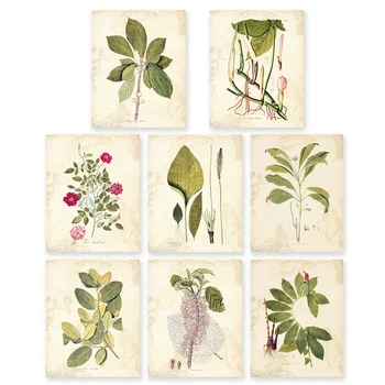 

Vintage Green leaves aromatique and floral style art prints 8 in 1 unframed